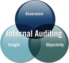 internal_audit1
